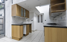 Willow Holme kitchen extension leads